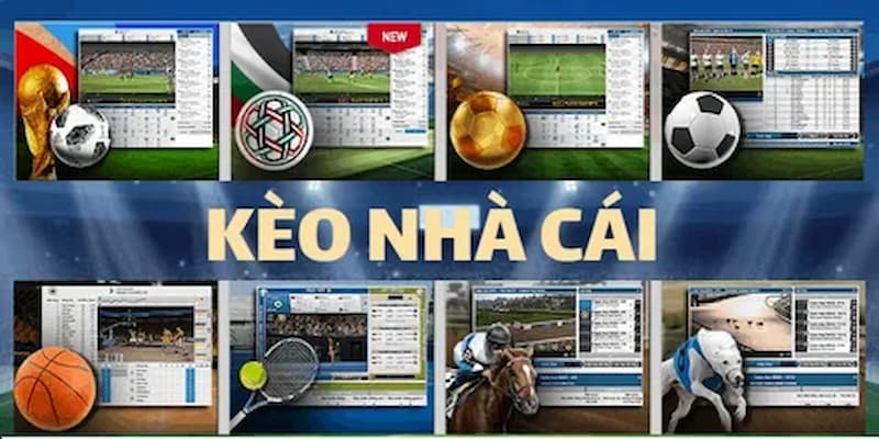 Lưu ý ghi đặt cược kèo 3 cửa là gì